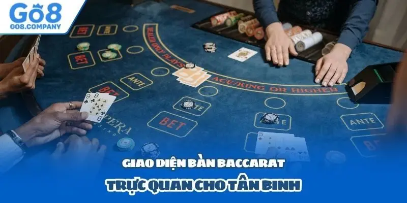 Giao diện bàn Baccarat trực quan cho tân binh